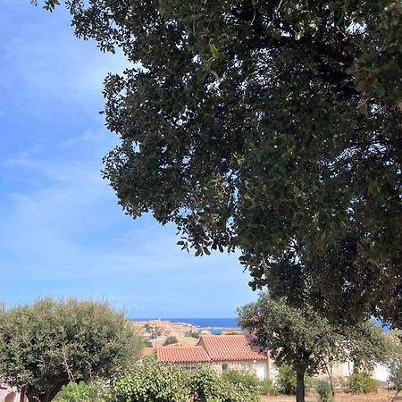Appartement Rez De Villa LʼÎle-Rousse Exteriér fotografie