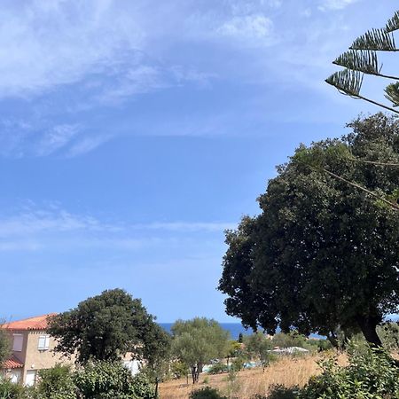 Appartement Rez De Villa LʼÎle-Rousse Exteriér fotografie