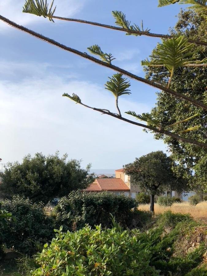 Appartement Rez De Villa LʼÎle-Rousse Exteriér fotografie