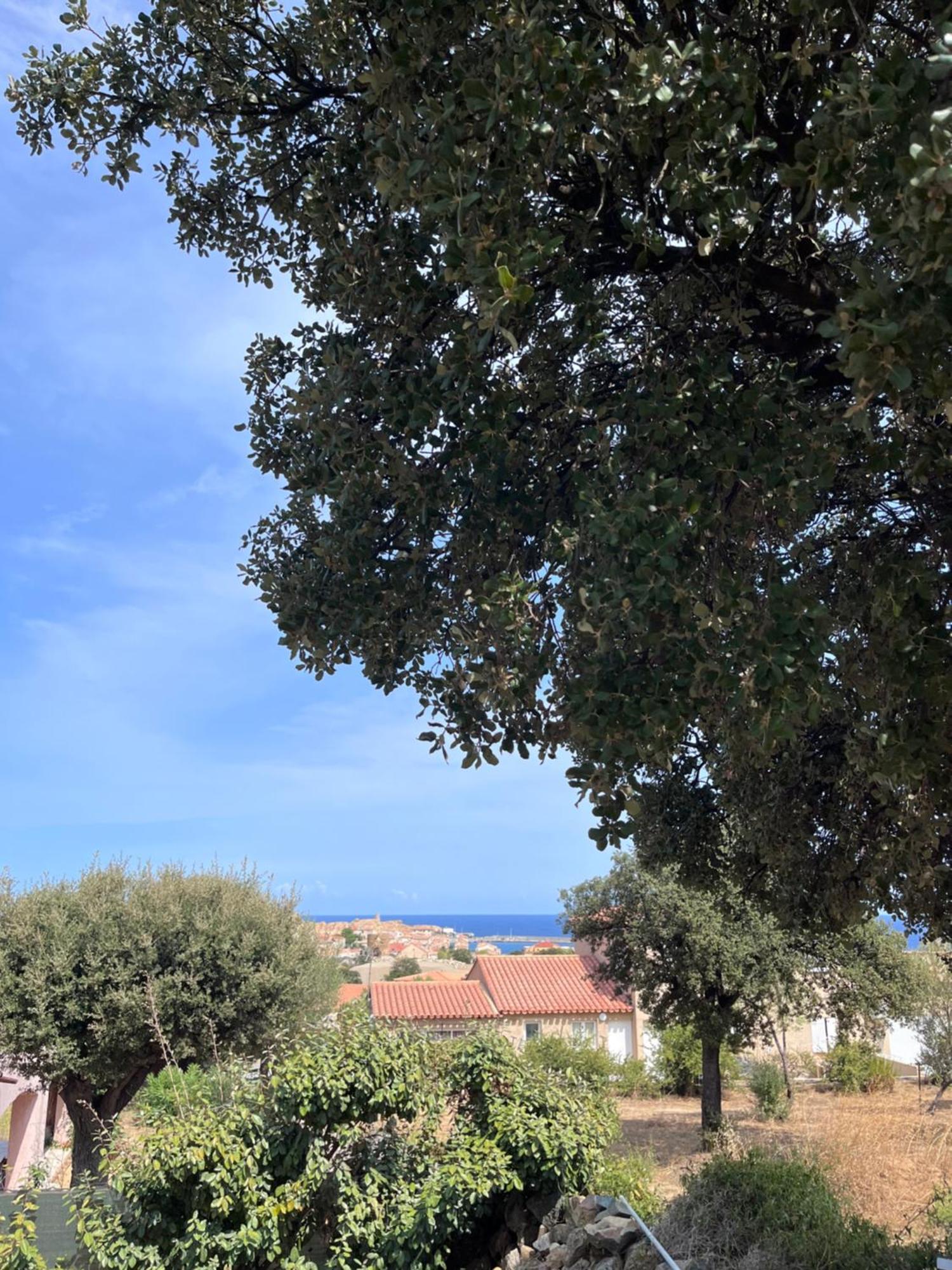 Appartement Rez De Villa LʼÎle-Rousse Exteriér fotografie
